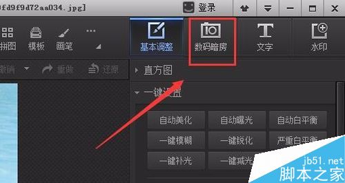 光影魔术手制作马赛克