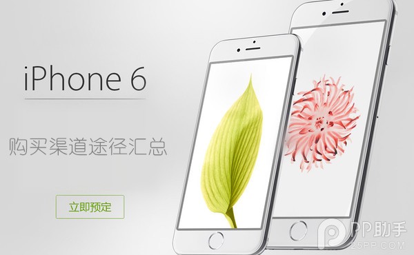 怎么购买iPhone6?国行iPhone6购买渠道途径汇总