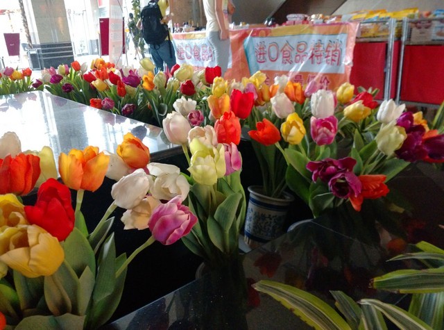 IMX214的对决 小米4/锤子/荣耀6比拍照 