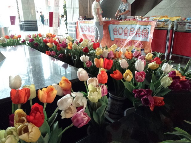 IMX214的对决 小米4/锤子/荣耀6比拍照 