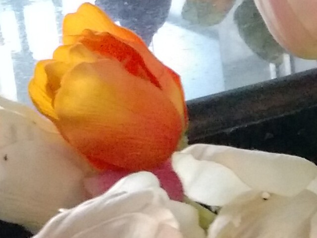 IMX214的对决 小米4/锤子/荣耀6比拍照 