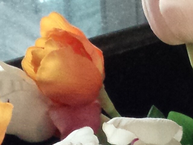 IMX214的对决 小米4/锤子/荣耀6比拍照 