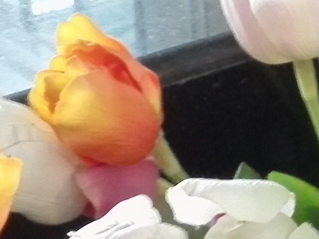 IMX214的对决 小米4/锤子/荣耀6比拍照 