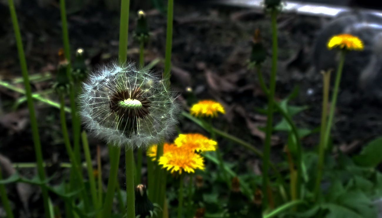 1020，大图共赏......图片4