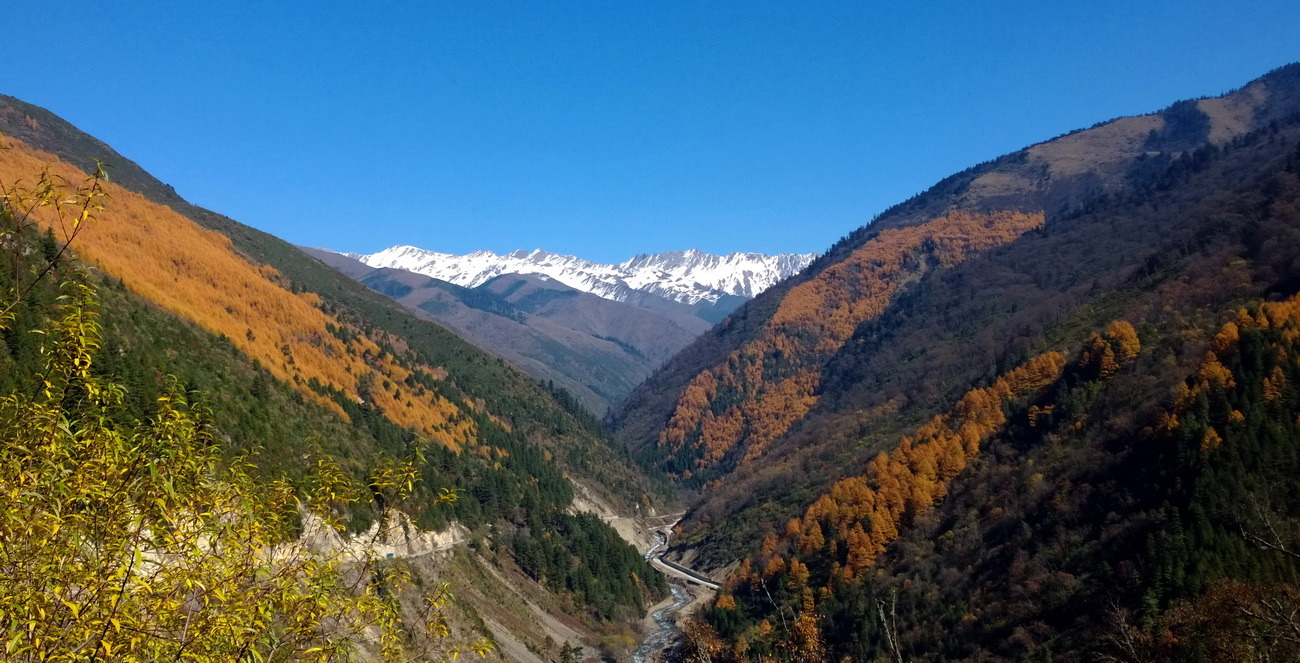 1020，大图共赏......图片7