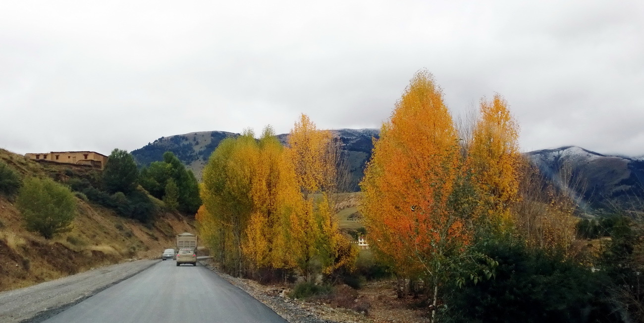 1020，大图共赏......图片9