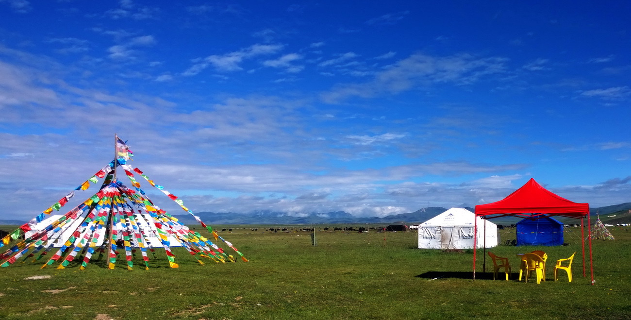 1020，大图共赏......图片15