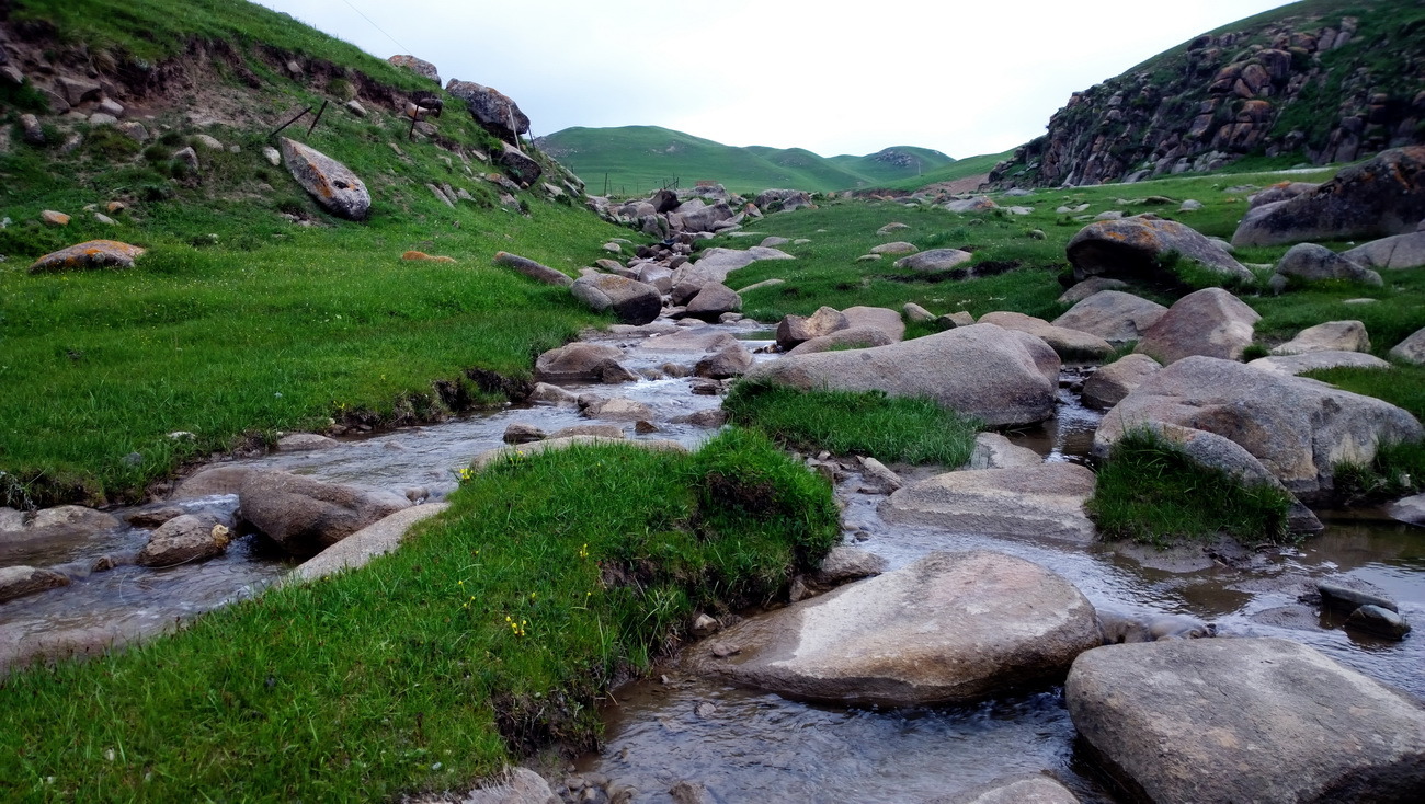 1020，大图共赏......图片16