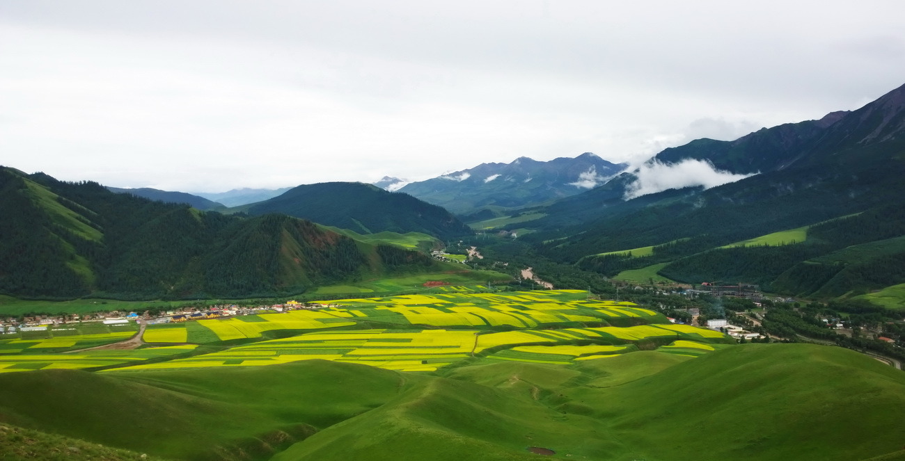 1020，大图共赏......图片20