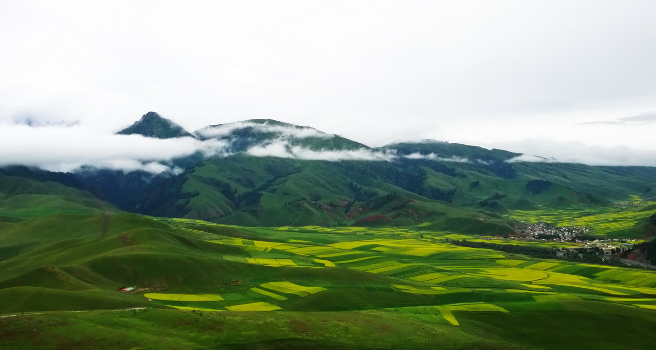 1020，大图共赏......图片22