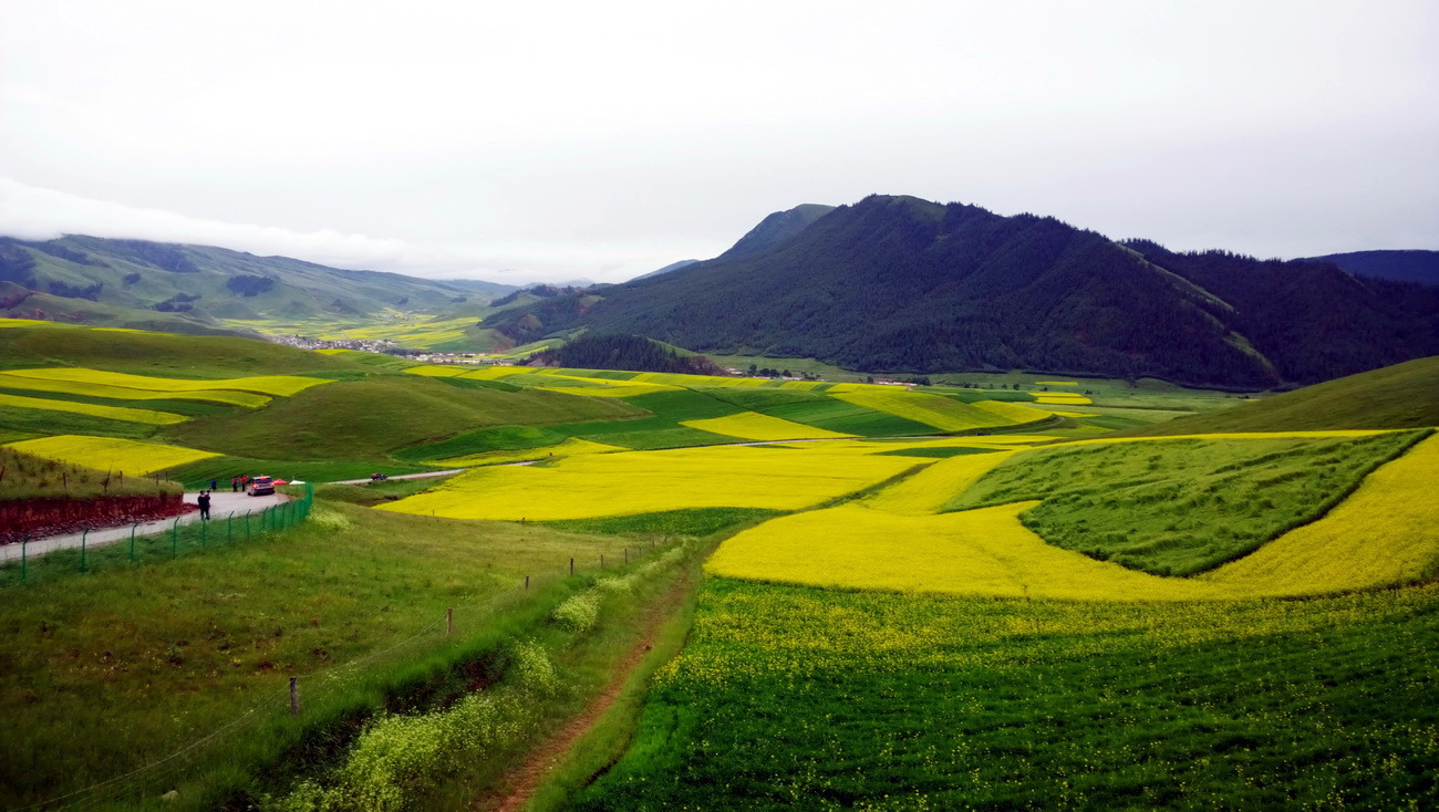 1020，大图共赏......图片23