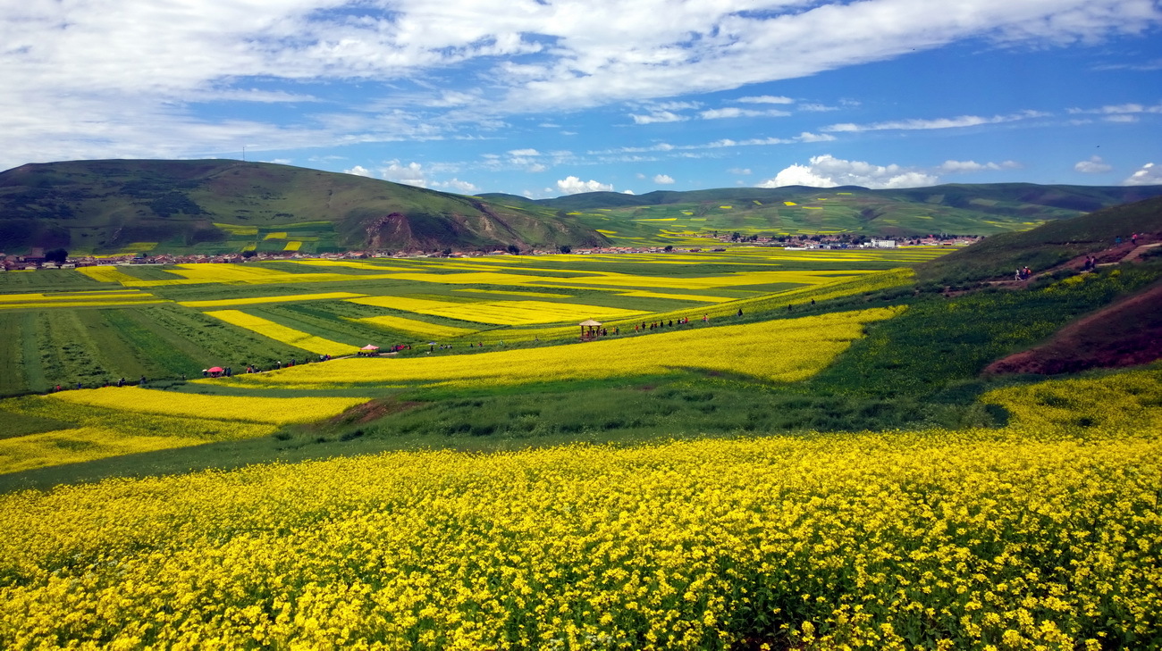 1020，大图共赏......图片26