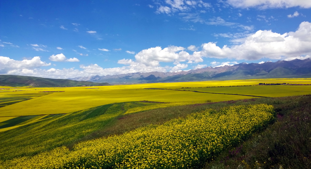 1020，大图共赏......图片27