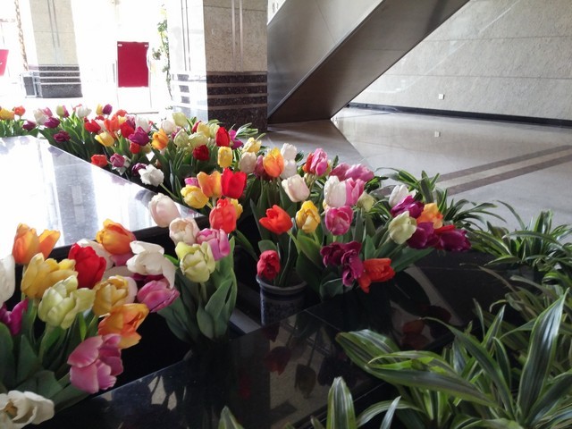 2K屏幕+OIS强悍拍照 国行LG G3全面评测 