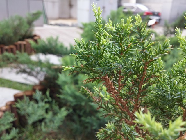 2K屏幕+OIS强悍拍照 国行LG G3全面评测 