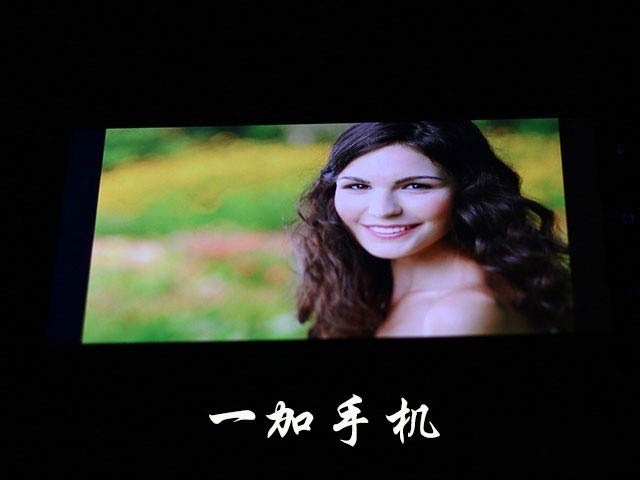 价格相差9毛9 一加手机与小米4应该选谁 