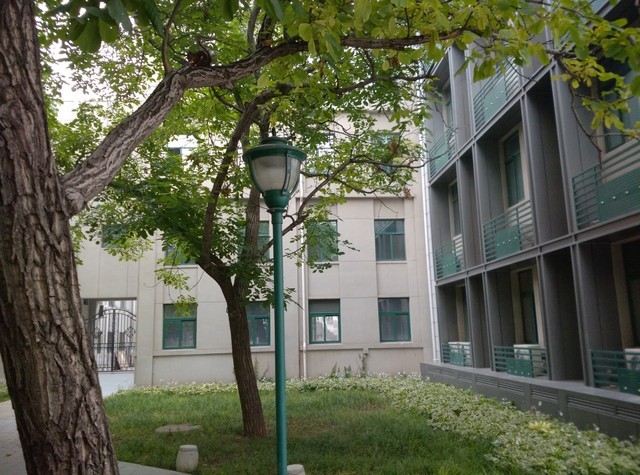 价格相差9毛9 一加手机与小米4应该选谁 