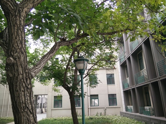 价格相差9毛9 一加手机与小米4应该选谁 