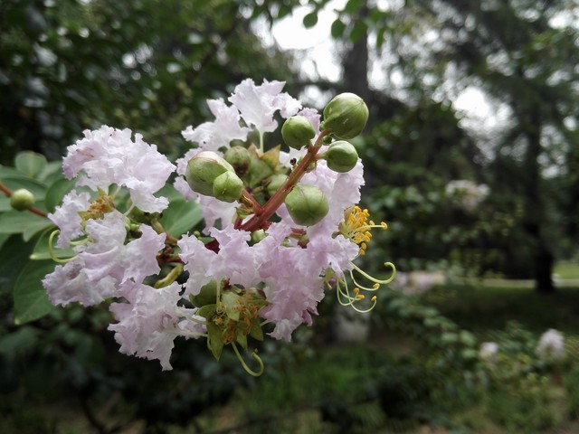 尖Phone:谁是1999王者 荣耀6对比小米4 