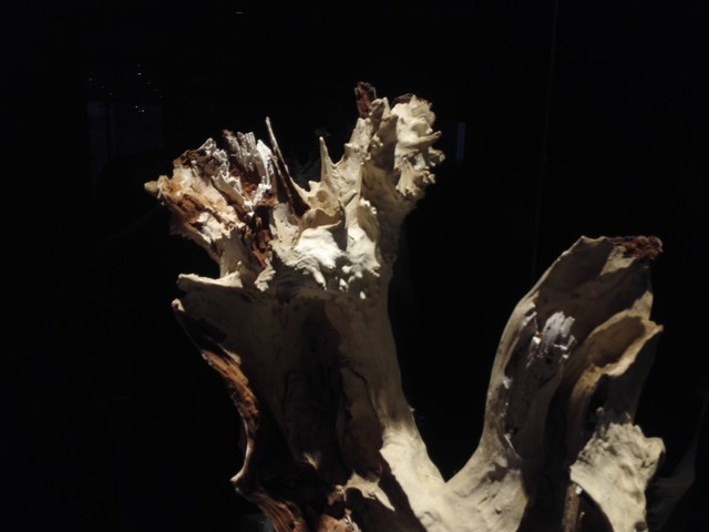 尖Phone:谁是1999王者 荣耀6对比小米4 