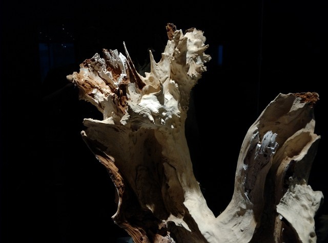 尖Phone:谁是1999王者 荣耀6对比小米4 