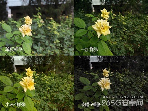 一加/小米手机4/荣耀6非全面对比评测 