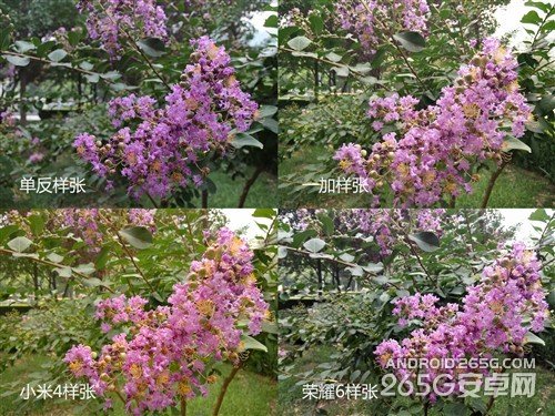 一加/小米手机4/荣耀6非全面对比评测 