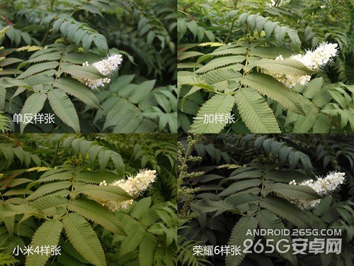 一加/小米手机4/荣耀6非全面对比评测 