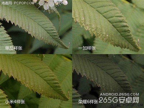 一加/小米手机4/荣耀6非全面对比评测 