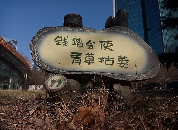 图为荣耀3X户外拍照样张图片