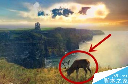 图片标记添加的方法与技巧