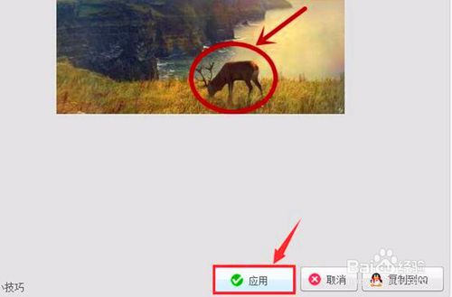 图片标记添加的方法与技巧