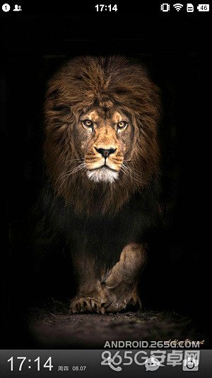 做工和体验才是重点小米4对比锤子手机(2)