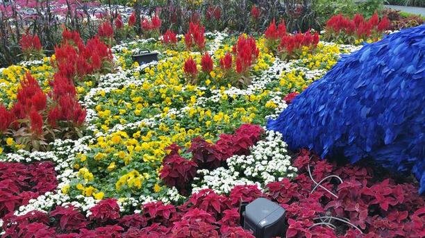 Note 4/iPhone 6 Plus/LG G3拍照对比