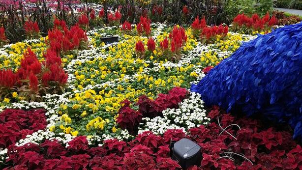 Note 4/iPhone 6 Plus/LG G3拍照对比