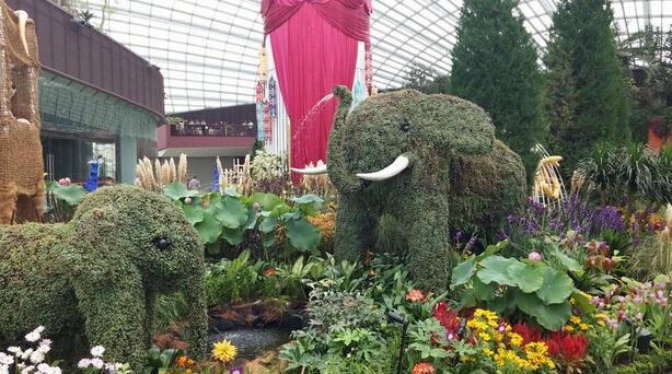 Note 4/iPhone 6 Plus/LG G3拍照对比