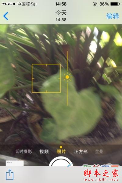 iphone6怎么收藏个人照片? 脚本之家