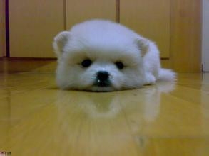 如何保持手机锁屏时的wifi连接