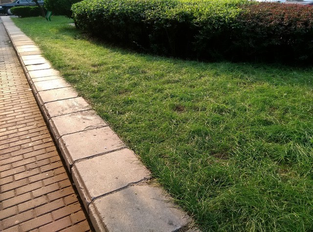 酷派8732拍照评测 