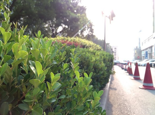 酷派8732拍照评测 