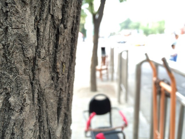 三平台激斗 锤子/Lumia1520/5s拍照对比 