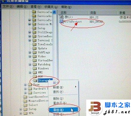 导出StorageDevicePolicies项
