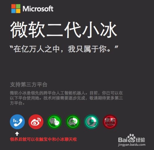 微软小冰怎么领养,微软小冰怎么升级