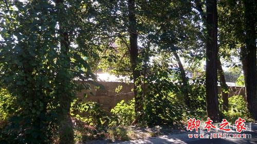 5.5英寸真八核双卡4G 酷派大神F2评测