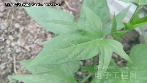 秒杀魅族4/小米4 千元酷派大神F2隆重登场(图组)