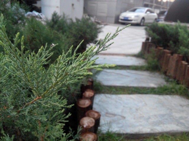 大屏八核决战 酷派大神F2对比红米Note