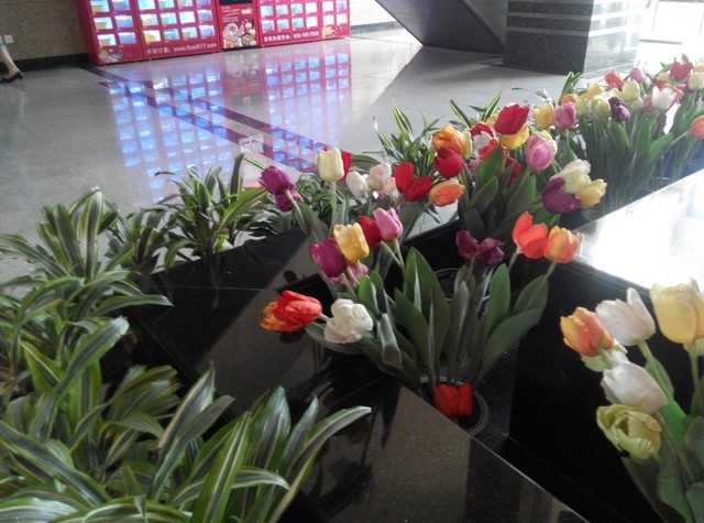 大屏八核决战 酷派大神F2对比红米Note