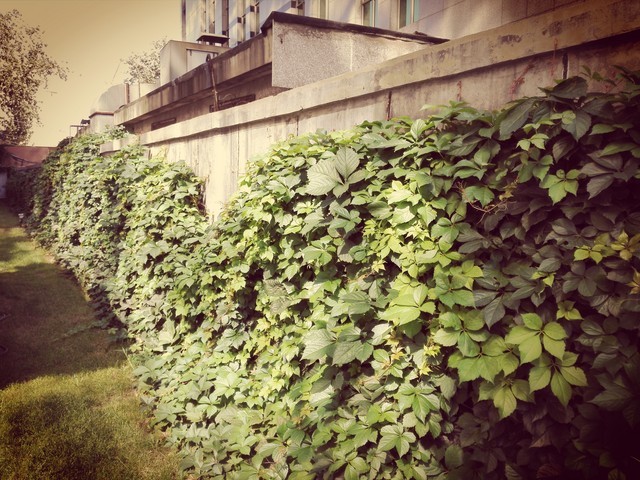 6寸大屏指纹识别 全金属华为Mate7评测