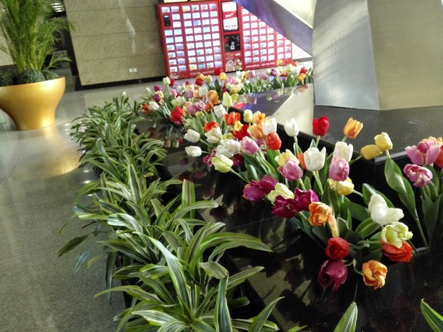 6寸大屏指纹识别 全金属华为Mate7评测