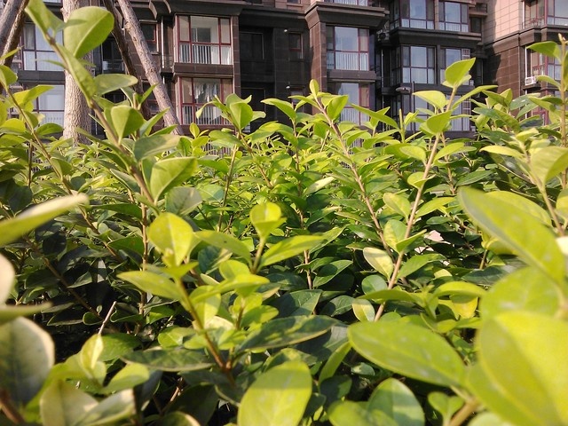 或许是安卓绝唱 799元诺基亚X2全面评测